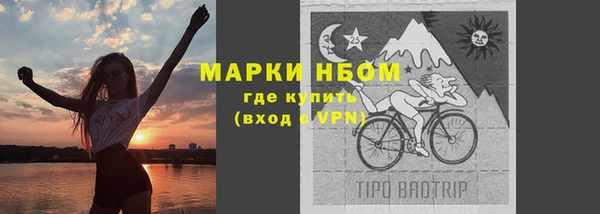 индика Алзамай