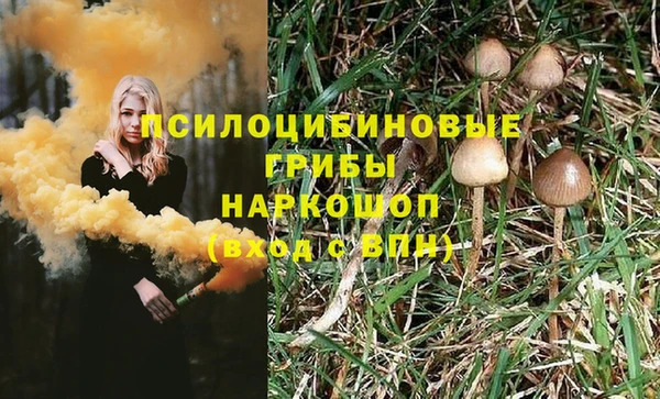 соль ск Абинск