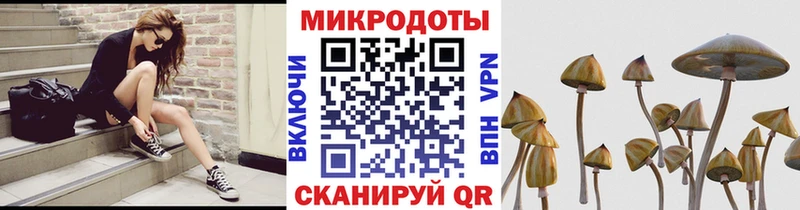 Псилоцибиновые грибы ЛСД  Мыски 
